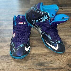 Nike Lebron XI 11 Summit Lakes Hornets Size 5.5Y